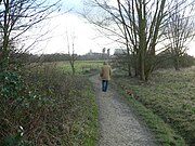 Dans le parc régional du Scheutbos.