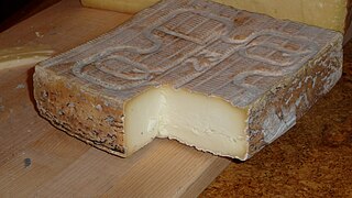 Taleggio