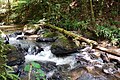 Parque Nacional Velo de Novia.