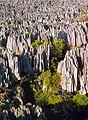 Tsingy de Bemaraha, Madagaszkár