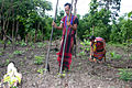 Image 25Brao couple farming (from Culture of Laos)