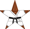 The Black Belt Barnstar