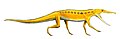 Chanaresuchus bonapartei