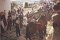 Delante de la pared: Carlos Tristancho, Santiago Ramos y Violeta Cela. Detrás del caballo: Juanjo Puigcorbé, Luis García Berlanga y Rafael Hernández.