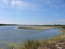 Le parc ornithologique (Marquenterre) à l'embouchure du fleuve et de la Maye.