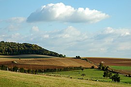 Neufchâtel-en-Bray à l'est.