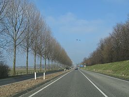 N206 bij Zoeterwoude-Dorp