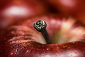 Macro photo of an Apple, taken with a Canon 350D, 100-400 L IS F/4.5-5.6, 56mm of extension tubes, and a Sigma EF500 EX DG Super flash unit