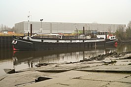 De BORNRIF voor de wal aan de Hollandsche IJssel