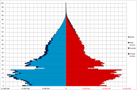 Pyramide des âges selon le recensement chinois de 1982.