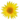 Tournesol