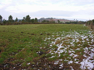 galician landscape near arzua