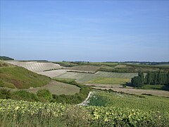 Chenac-Saint-Seurin-d'Uzet, dans le sud-ouest.