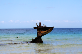 Pied Cormorants Resting On Wrecks.png