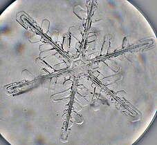 Snowflake captured by a microscope