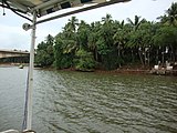 Godavari River backwaters near Dindi