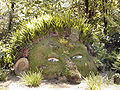 Heligan: Susan Hills Skulptur The Giant's Head