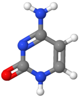 Image illustrative de l’article Cytosine