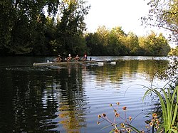 Rameurs sur la Charente