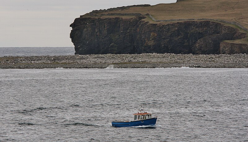 File:New Boat IMG 8928 (17506285179).jpg