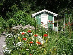 Söderbrunns koloniområde på sommaren 2010