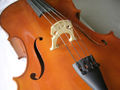 Violoncello