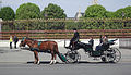 Fiaker at Heldenplatz, Vienna (18 April).