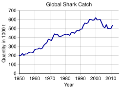 Graph of shark catch from 1950, linear growth from less than 200,000 tons per year in 1950 to about 500,000 in 2011