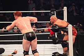 Elimination Chamber (2013) IMG 2521 (11701284343).jpg