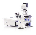 Microscopio Airyscan