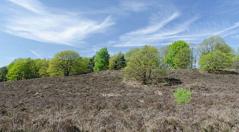 File:De-Meinweg-Landschaft-Fruehjahr-2013-05.jpg