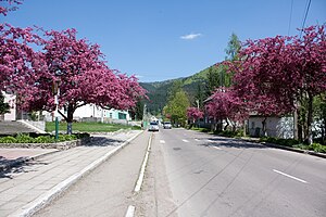 В центрі села