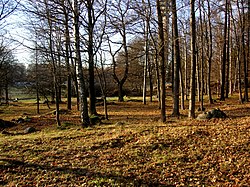 Kaknäs Iron Age burial ground