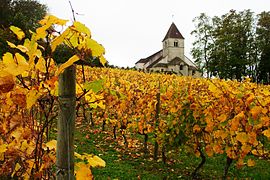 Vergy, église dans les vignes