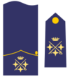 Teniente general