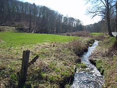 Das Altenbachtal in der Umgebung von Unterduhr