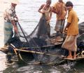 Fishermen from Bangladesh