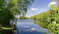 Borner See im Naturpark Schwalm-Nette