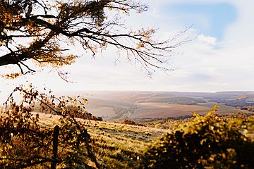 Butte de Vergy.