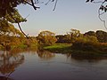 die Spree bei Mönchswinkel (nähe Hangelsberg)