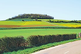 Image illustrative de l’article Mont Rond (Morvan)