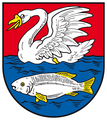 schwimmend (Nachterstedt)