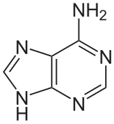 Adénine