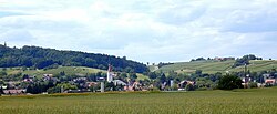 A view of Erzingen