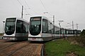 Rotterdamse tram