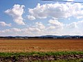 Oberlausitzer Hügellandschaft in Richtung Osten