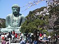 Der Daibutsu zur Zeit der Kirschblüte