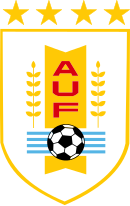 Shirt badge/Association crest