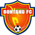 Second crest (2009–present)