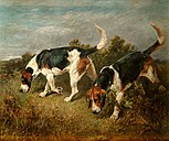 New Forest buckhounds